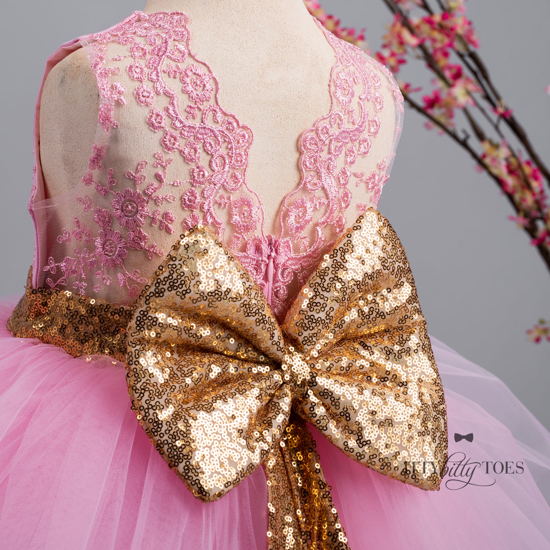 Princess Aisha Dress (Pink & Gold)